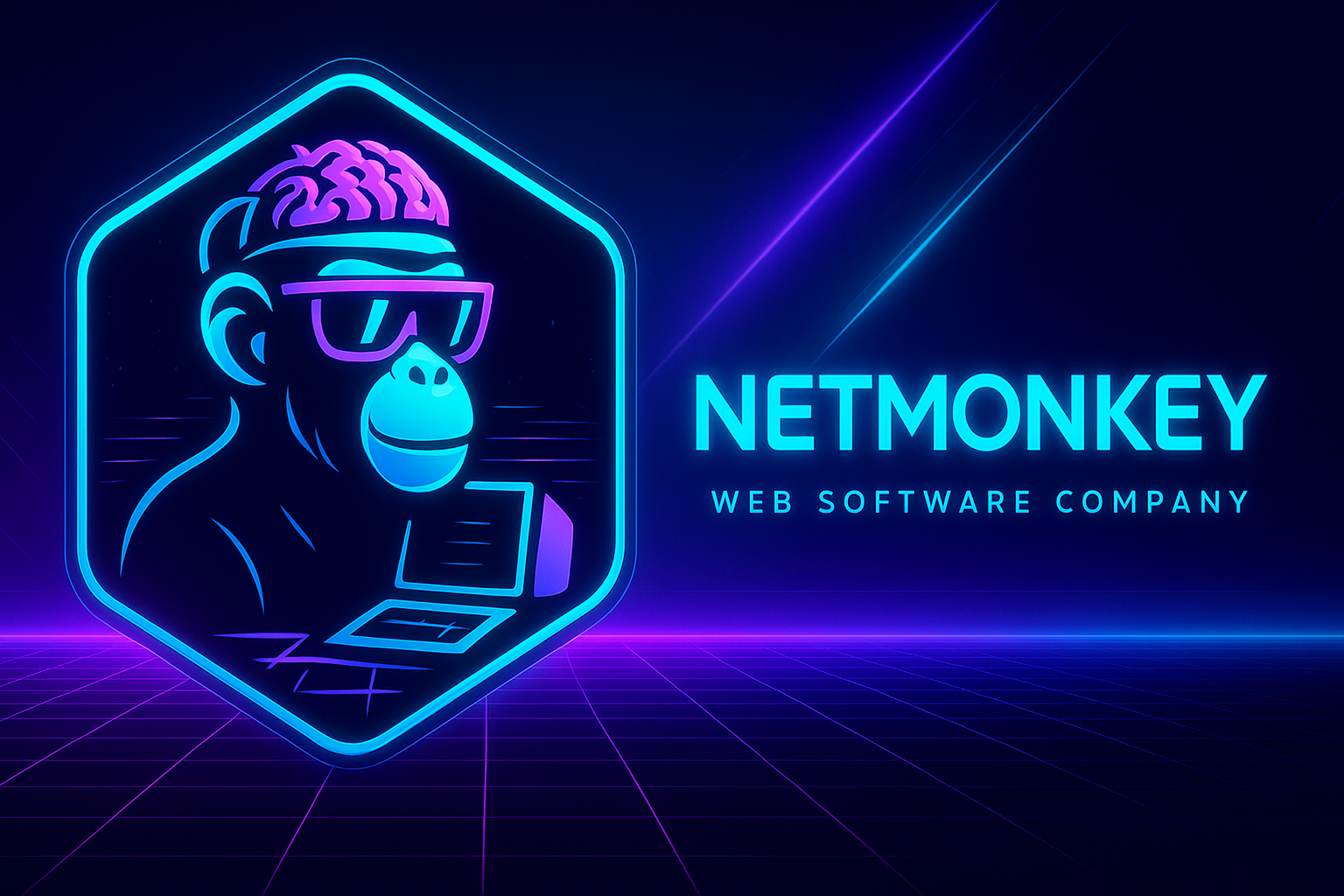 NetMonkey professional web design